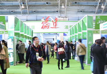 国内展团